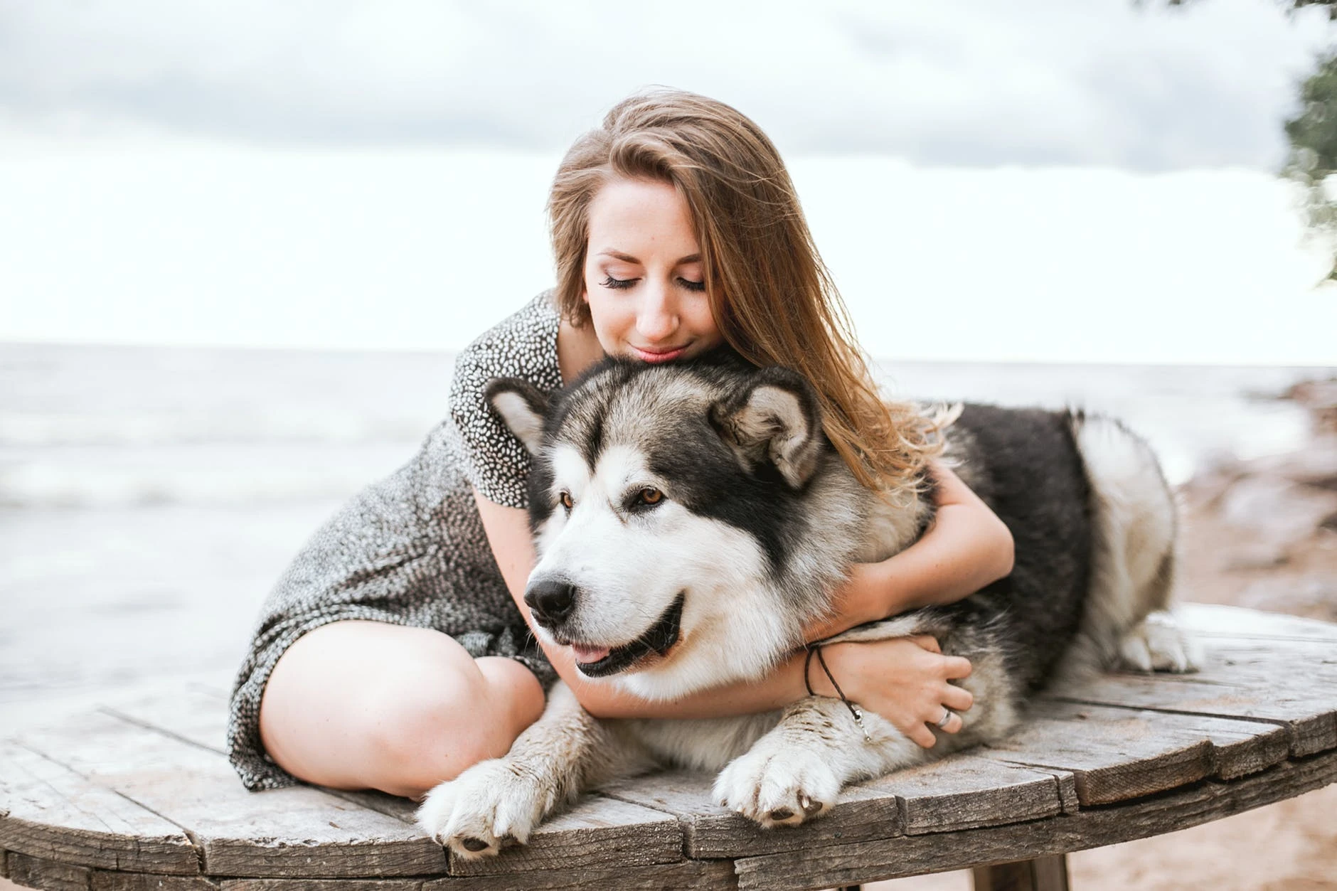 woman in gray dress hugging black and white siberian husky